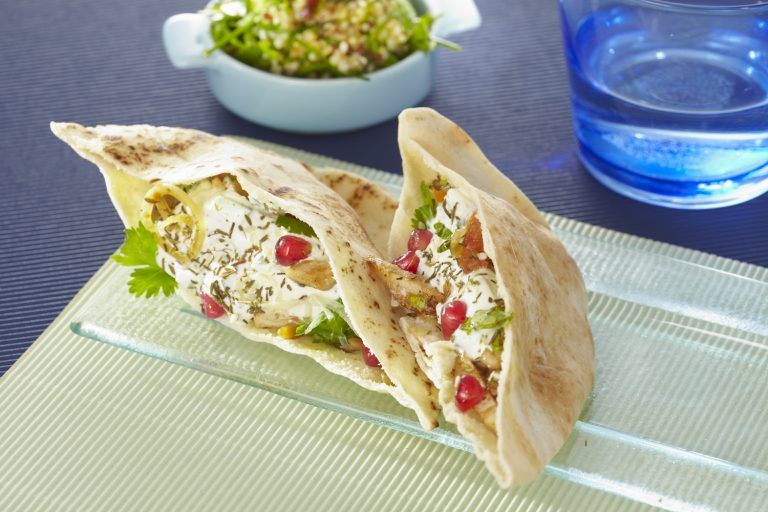 Sandwich Kebab Soignon Professionnel