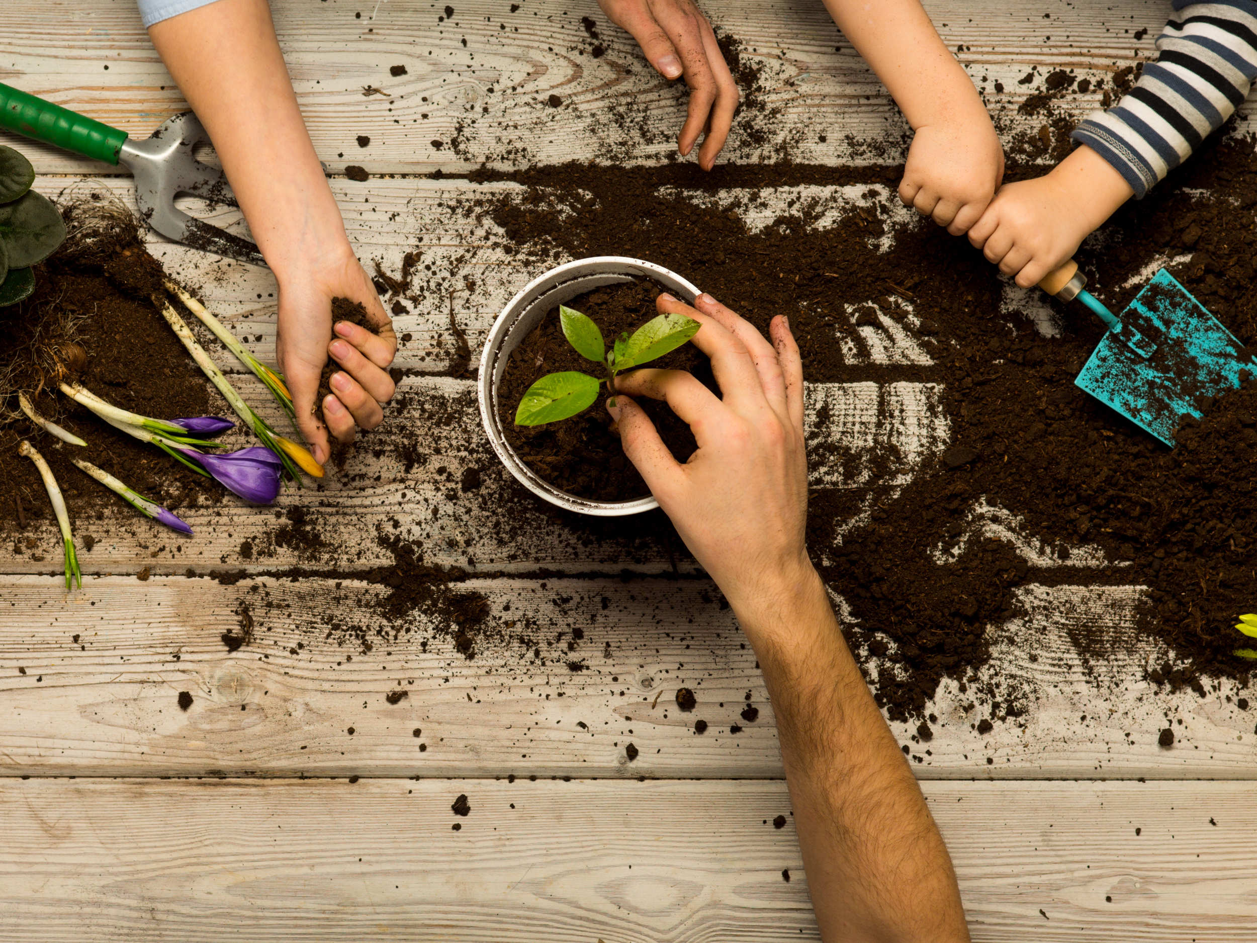 Image présentant recette, produit ou page