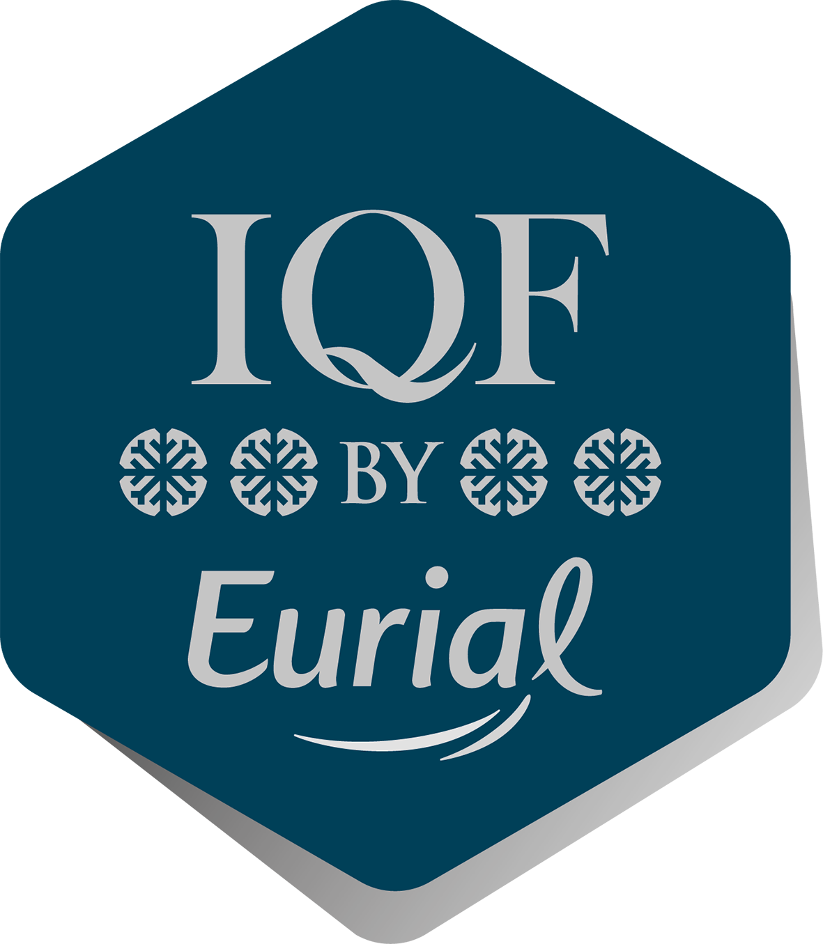 Logo IQF