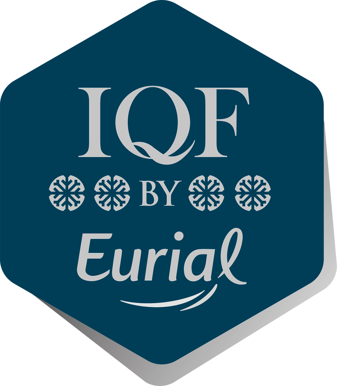 Logo IQF